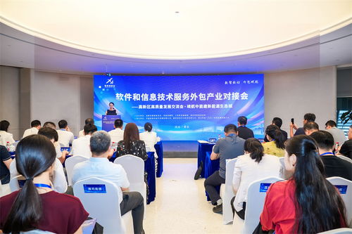雄安高新区成功举办软件和信息技术服务外包产业对接会，共筑产业新生态